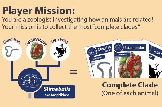 Illustrations help teach students how to trace evolution.