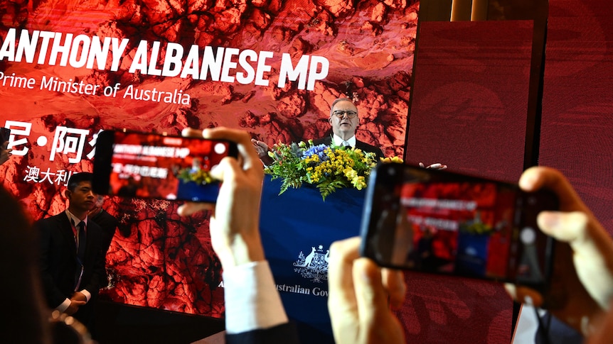 People holding up phones and taking photos of Albanese. 