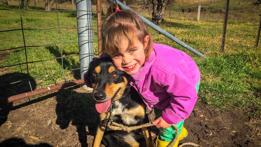 A young girl leaning down, smiling and hugging her kelpie dog tightly.
