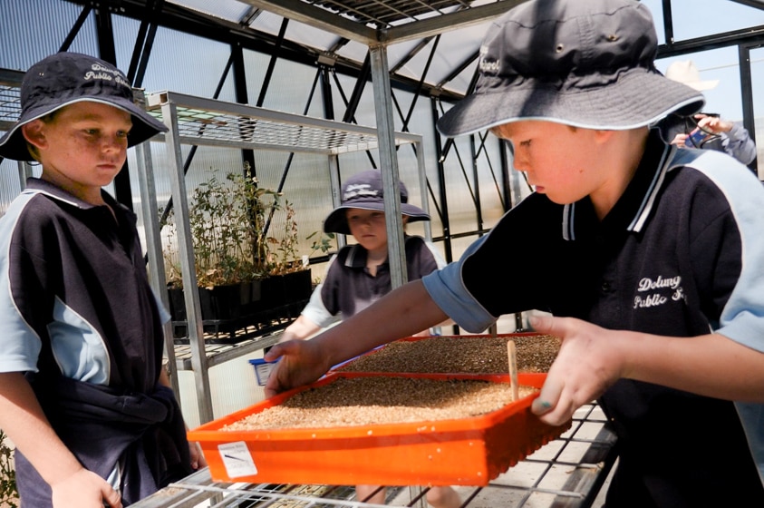 Students planting trees in greenhouse.