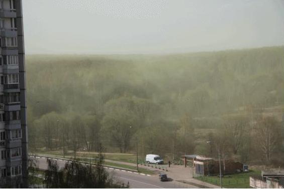 Green Pollen Clouds Spark Apocalypse Fears Abc News