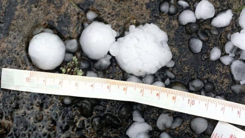 Hailstones that fell at Macleod on the northern outskirts of Melbourne.