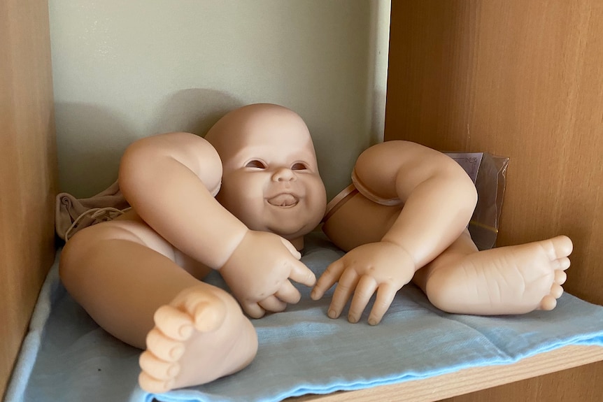 A set of doll parts, including a head, arms and legs, sits in a pigeon hole-style cupboard.