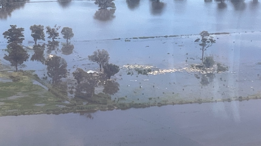 An aerial view of floods with some patches of white visibile