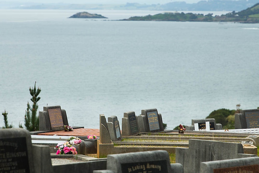 Penguin cemetery's sea view