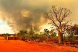 Bushfire near Willare in WA's Kimberley