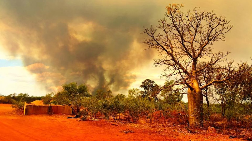 Bushfire near Willare in WA's Kimberley