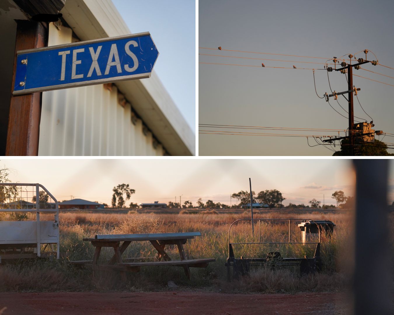 Texas street sign, birds on wire, sunset over grass