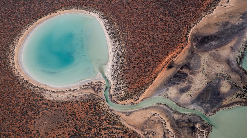A lagoon near Shark Bay, Western Australia.