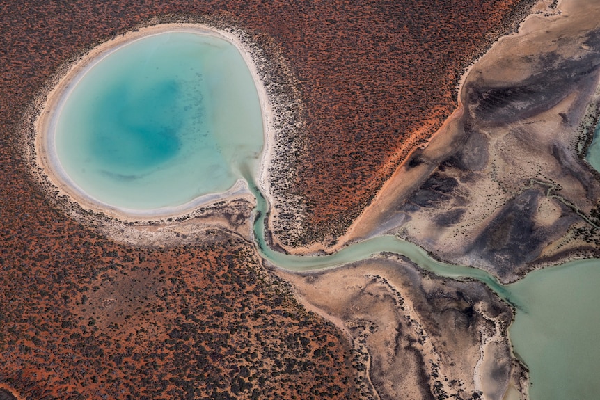 A lagoon near Shark Bay, Western Australia.