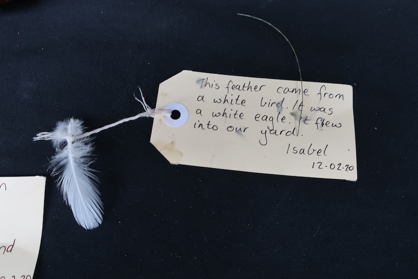 A small white feather with a label attached that says it came from a white bird that flew into the child's yard.