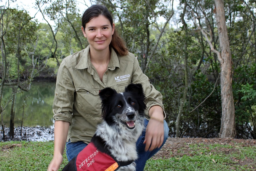 Dr Romane Cristescu and Maya the koala-poo sniffing dog