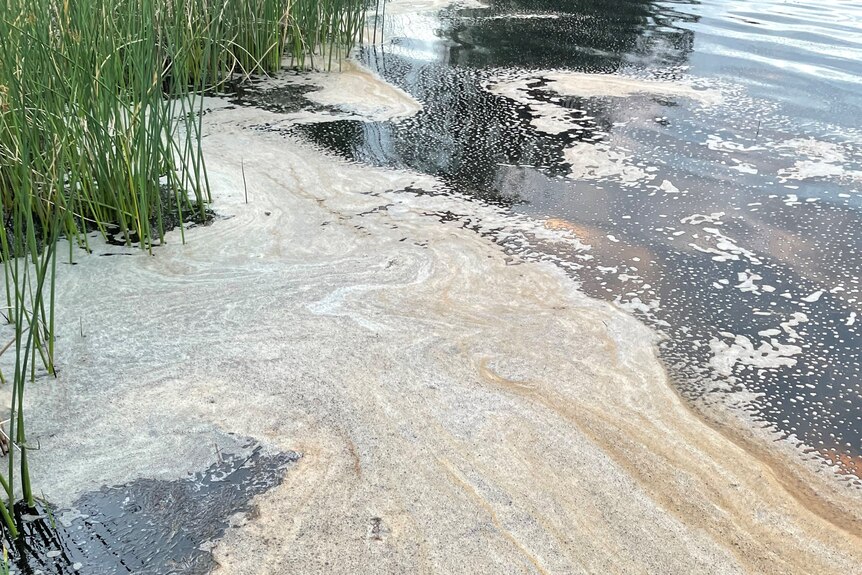 grease on the surface of a lake