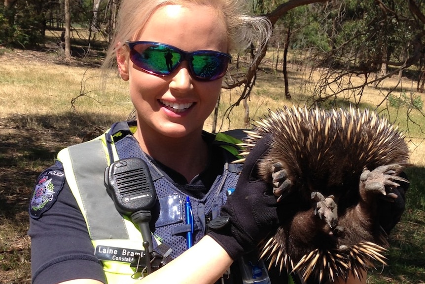 Constable Laine Bramley holds an echidna police found at a busy shopping centre.