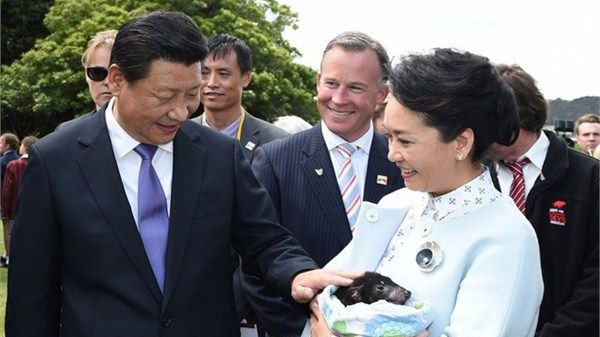 Xi Jinping and pats a Tasmanian devil behind held by his wife. Behind is an entourage including interpreter Charles Qin