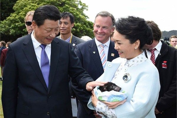 Xi Jinping and pats a Tasmanian devil behind held by his wife. Behind is an entourage including interpreter Charles Qin