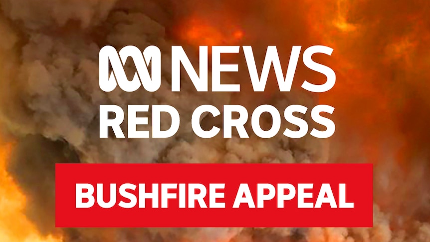 Text reading "ABC News Red Cross Bushfire Appeal" on a picture of bushfire smoke.