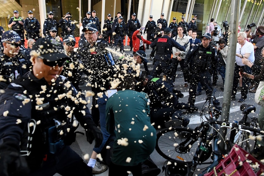 Dozens of police officers, protesters, and media on the steps of the convention centre surrounded by pepper spray.