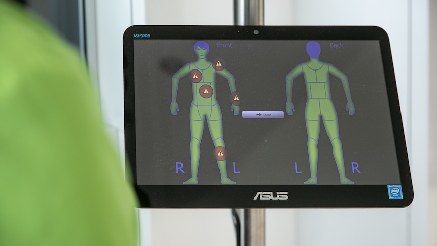 计算机屏幕描绘了身体在各个区域都有红色警报。