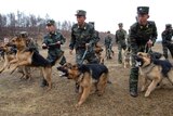 North Korean soldiers, military dogs take part in drills