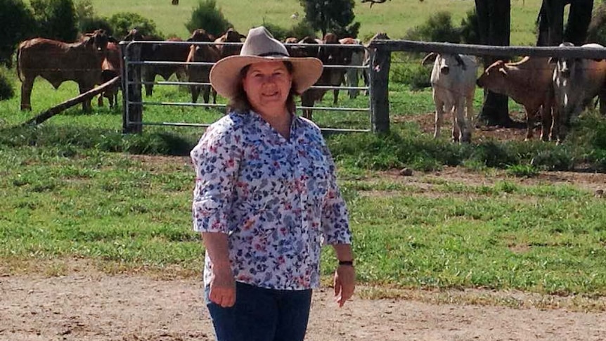 Isolated Children's Parents' Association federal president Wendy Hick stands in a paddock with cattle with cowboy hat on.
