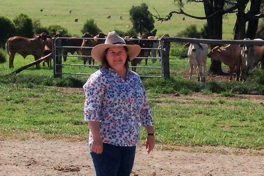 Isolated Children's Parents' Association federal president Wendy Hick stands in a paddock with cattle with cowboy hat on.