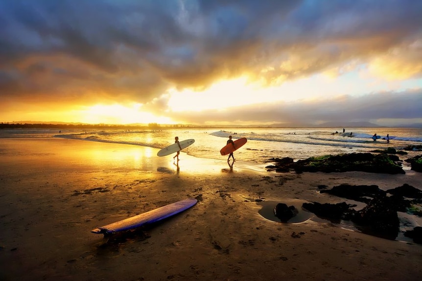 Deux surfeurs avec des longboards marchent dans l'océan à The Pass, Byron Bay, au coucher du soleil