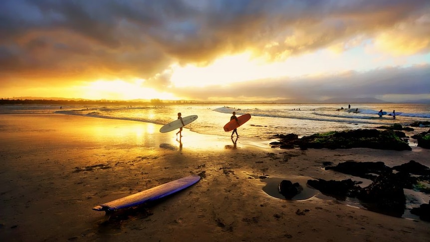 Two surfers with longboards walk out in to the ocean at The Pass, Byron Bay, on sunset