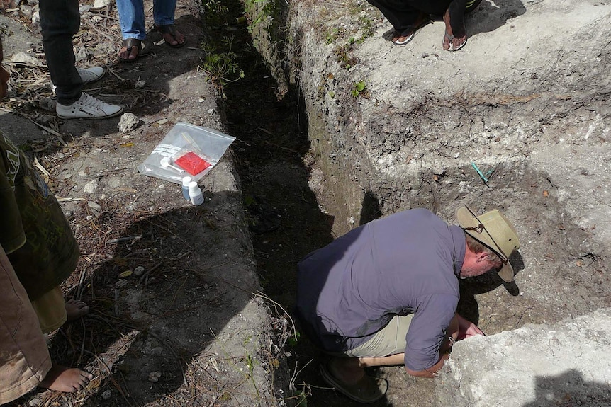 A forensic archaeologist digs for human remains