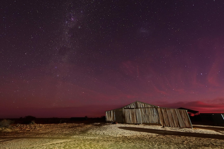 Stars appear under a dusk pink sky with a shed in the background