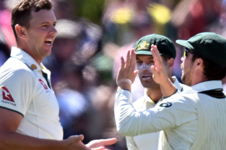 Josh hazlewood celebrates with teammates