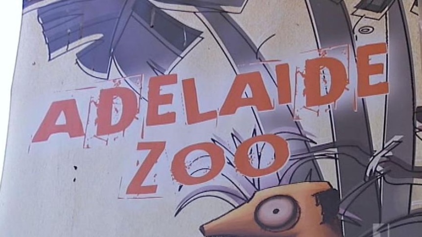 Adelaide Zoo poster