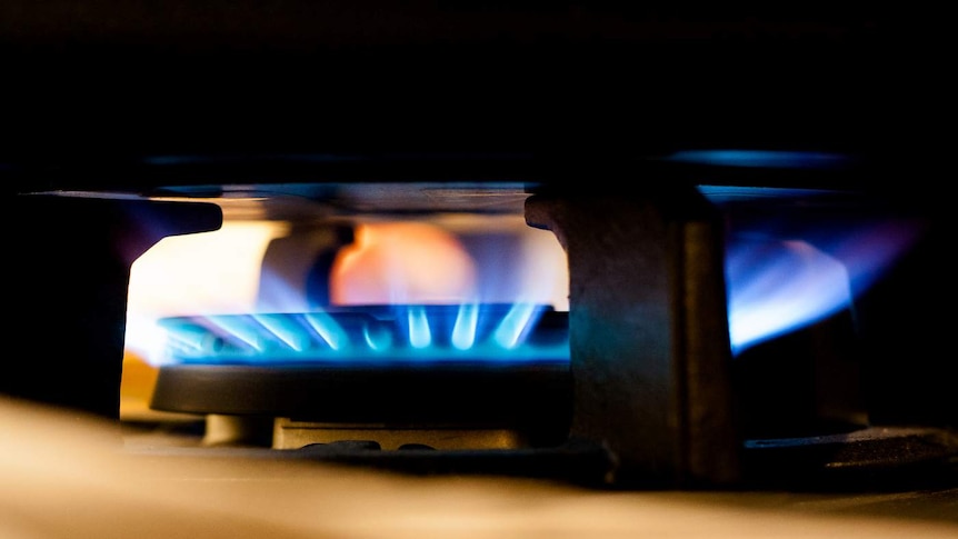 A lit gas stove.