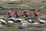 A search party in the Snowy Mountains.