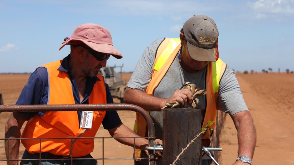 Two men in high visibility outfits work in a field to fix a gate.