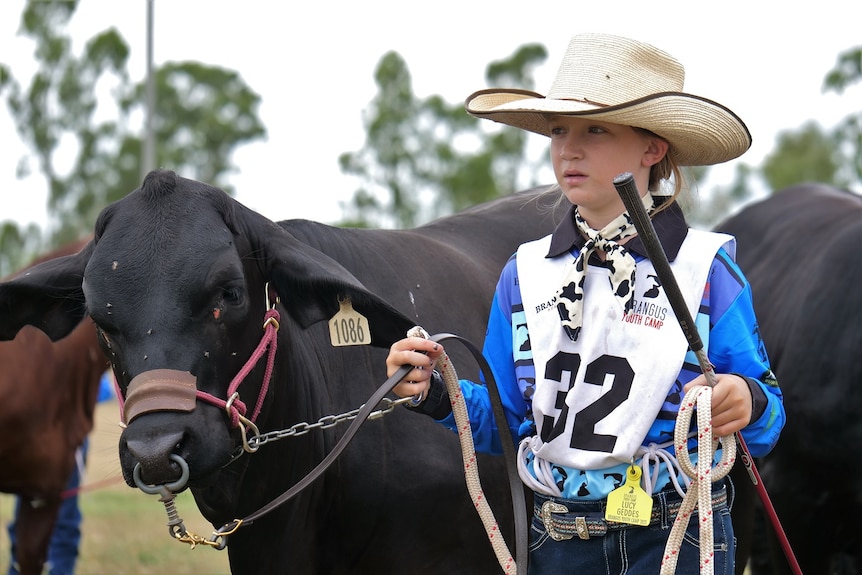 Lucy wearing a blue shirt and hat leading a cow, trees behind.