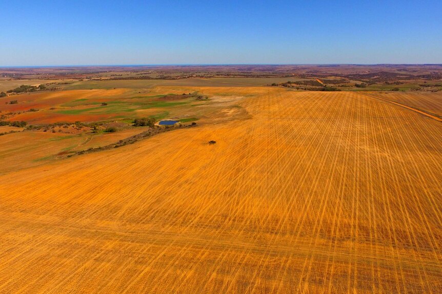 An aerial view of dry farmland.
