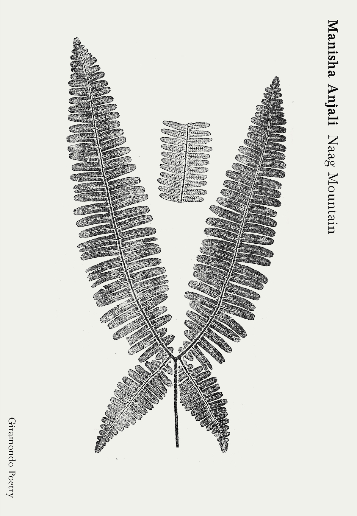 A book cover showing a black and white illustration of fern fronds