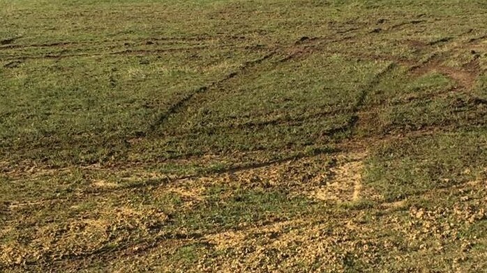 Circular tyre marks in a green paddock at Mt Baines.
