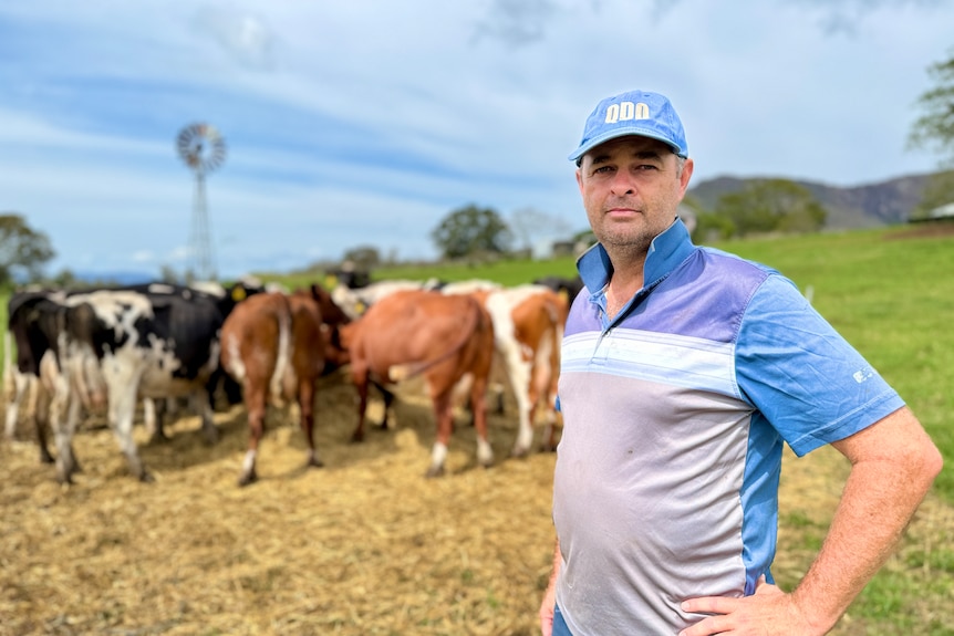 A man looks seriously at the camera with cows behind him