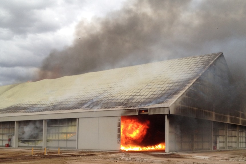 Fire in Southern Cotton's seed shed at Whitton