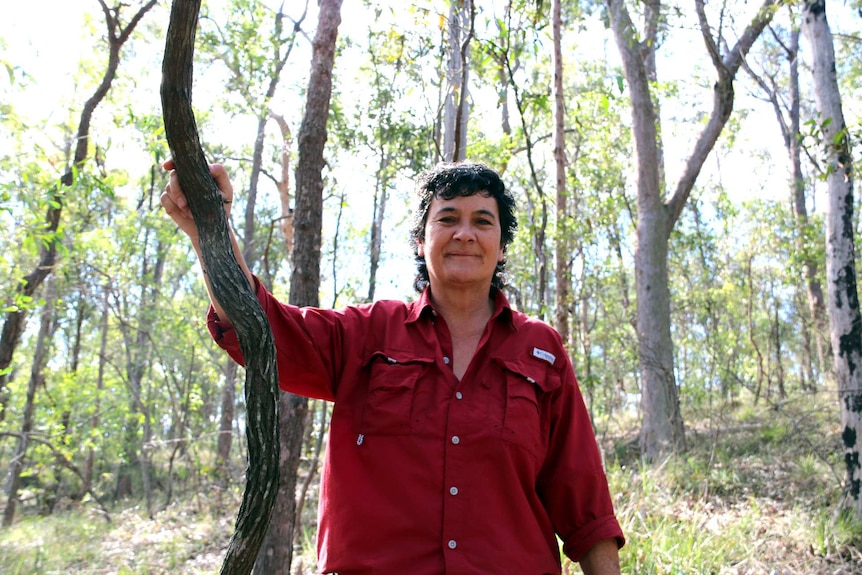 RSPCA Queensland Wildlife Hospital manager Lee Pirini in Toohey Forest Park in Brisbane.