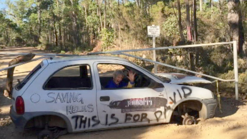Dee Patterson locked onto a car dragon - disused car with wheels taken off and cemented to road to protest logging in the Helms Forest 11 March 2015