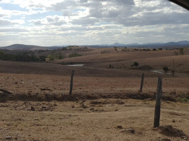 Dairy and beef get drought relief - ABC News
