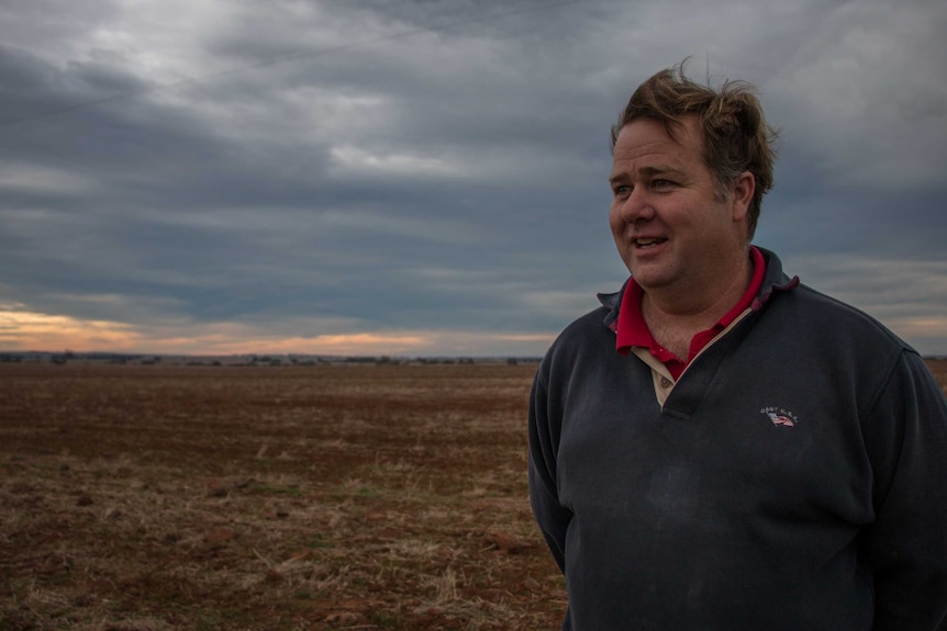 Farmer Chris Sharkey in a wheat paddock.