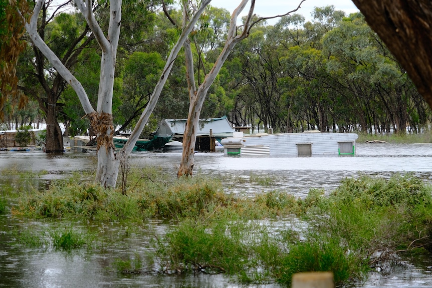 A flooded caravan among trees