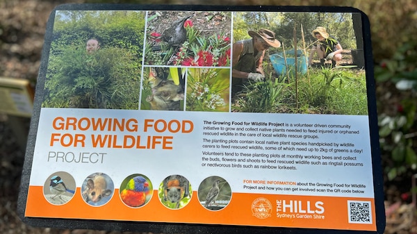 Sign in a garden with text 'Growing Food for Wildlife Project.'