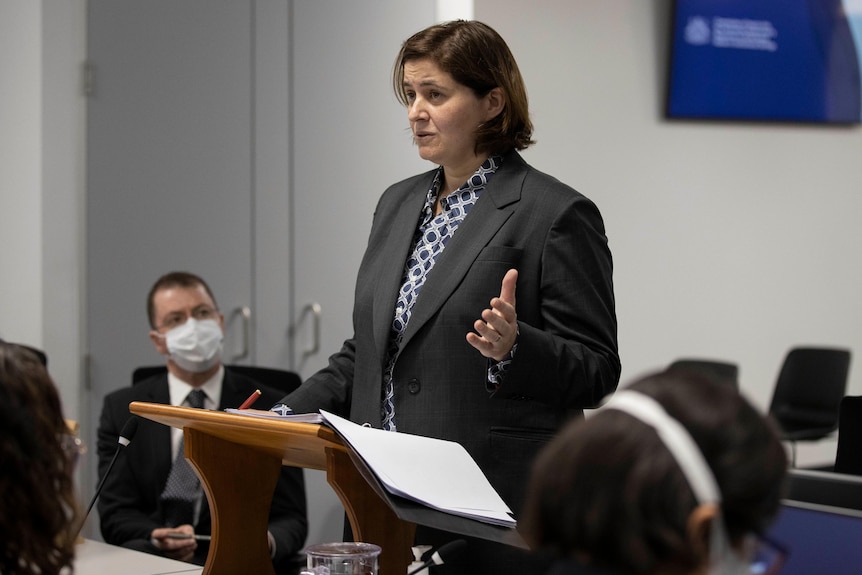 A woman stands at a lecture and addresses a committee.