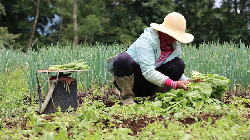 A farmer works the land in Bali.