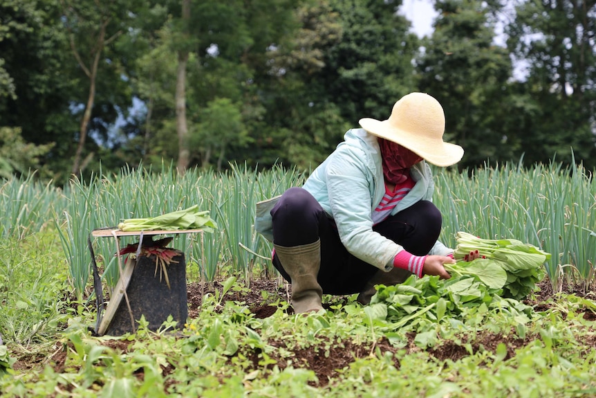 A farmer works the land in Bali.